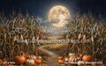 Corn Maze in the Moonlight (CC)