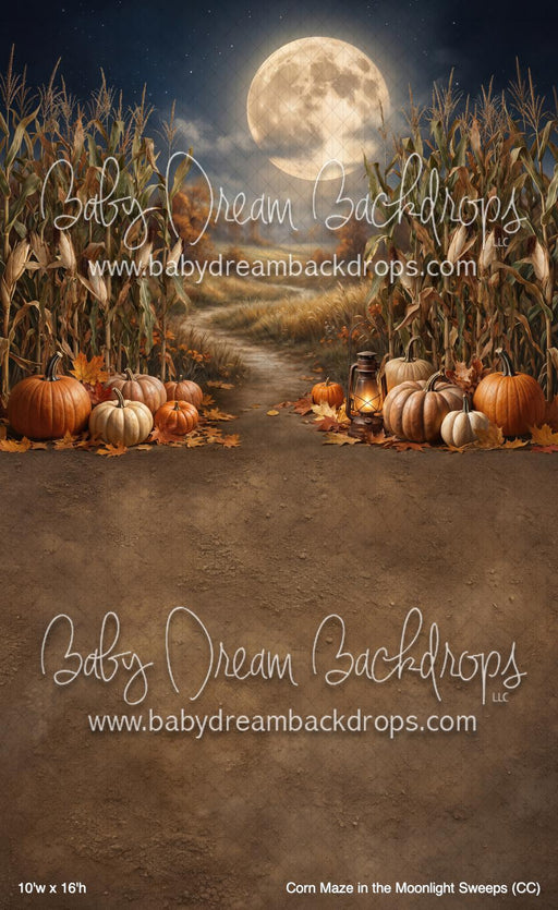 Corn Maze in the Moonlight Sweeps (CC)