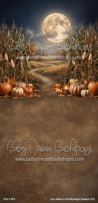 Corn Maze in the Moonlight Sweeps (CC)