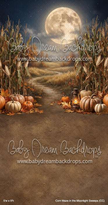Corn Maze in the Moonlight Sweeps (CC)