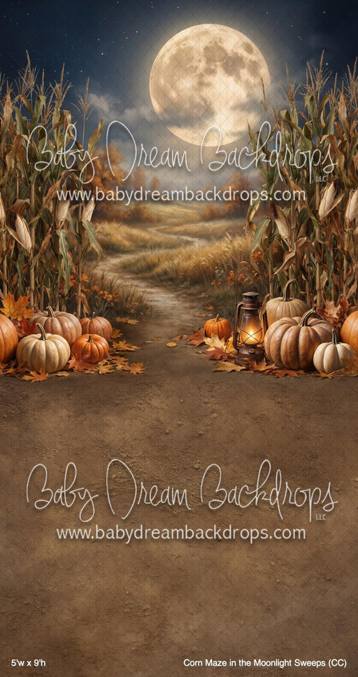 Corn Maze in the Moonlight Sweeps (CC)