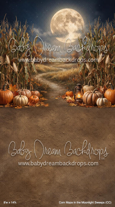 Corn Maze in the Moonlight Sweeps (CC)