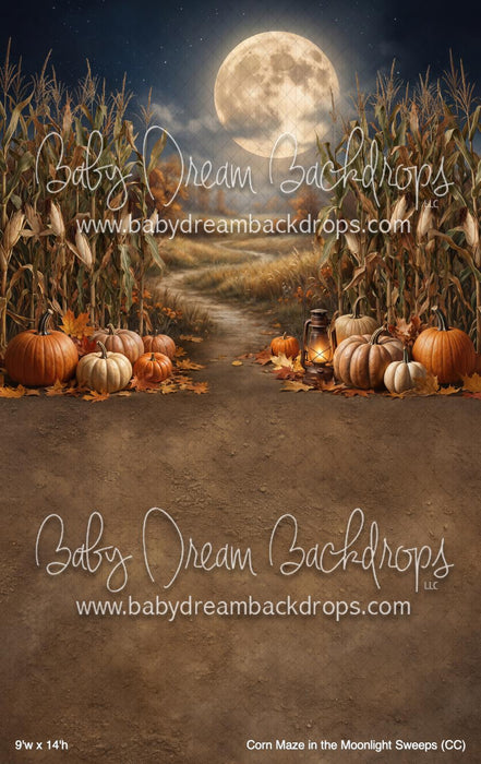 Corn Maze in the Moonlight Sweeps (CC)