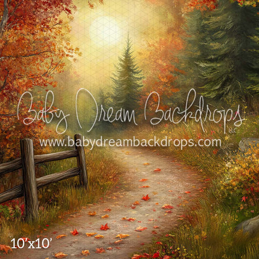 Country Autumn Road (CM)