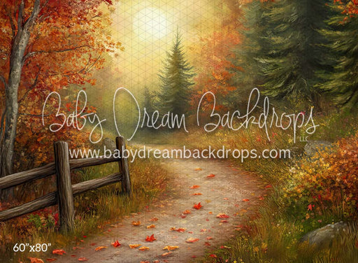 Country Autumn Road (CM)