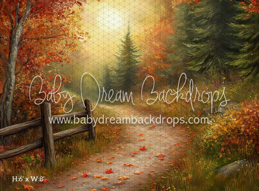 Country Autumn Road (CM)