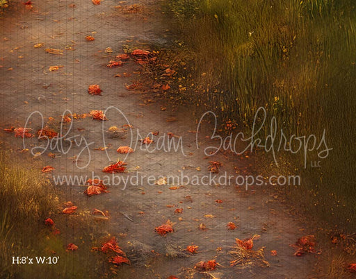 Country Autumn Road Fabric Floor (CM)