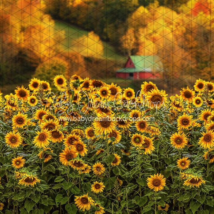 Country Fall Sunflowers (CC)