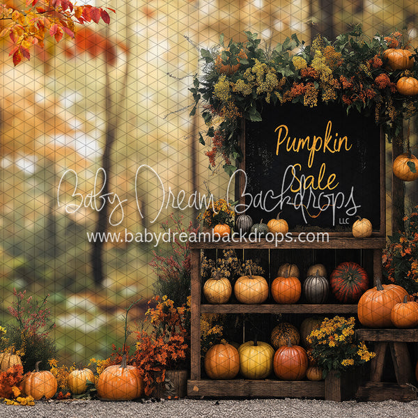 Countryside Pumpkins Limited (BD)