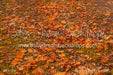 Cozy Fall Stand Floor (CM)
