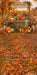 Cozy Fall Stand Sweep (CM)