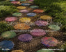 Crayon Playhouse Fabric Floor (GO)
