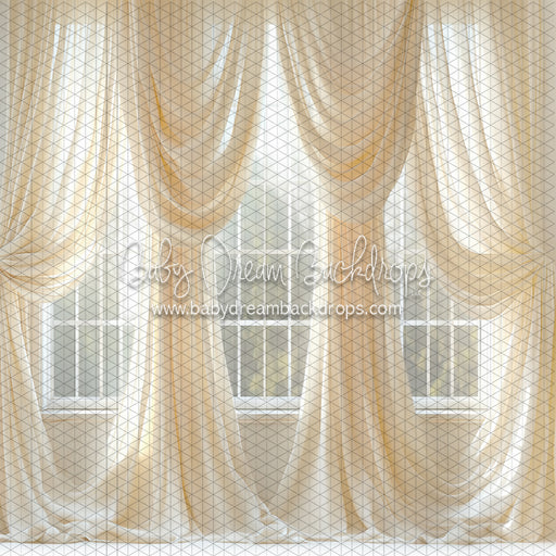 Cream Crush Window (JA)