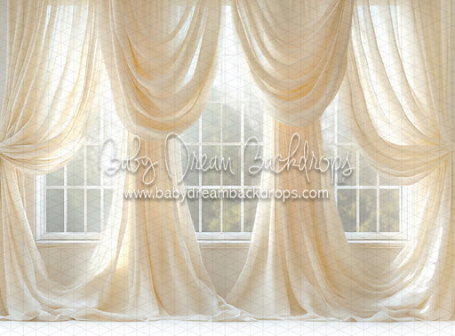 Cream Crush Window (JA)