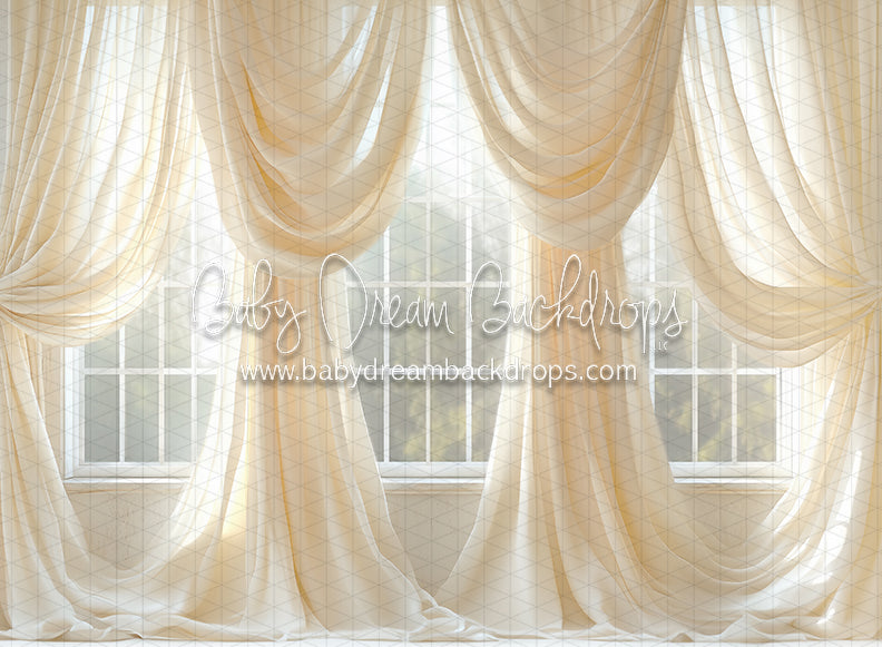 Cream Crush Window (JA)