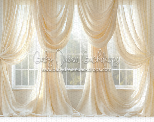 Cream Crush Window (JA)
