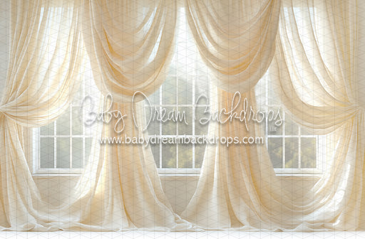 Cream Crush Window (JA)