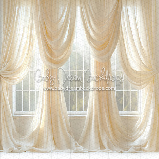 Cream Crush Window (JA)