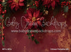 Crimson Poinsettia (MI)