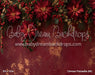 Crimson Poinsettia (MI)