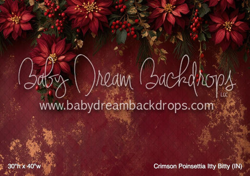 Crimson Poinsettia Itty Bitty (MI)
