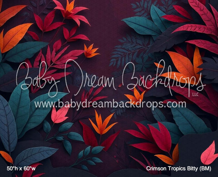Crimson Tropics Bitty (BM)