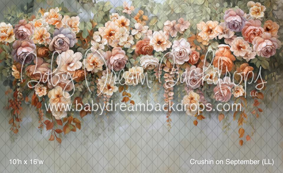 Crushin on September (LL)