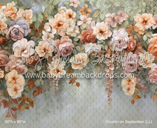 Crushin on September (LL)