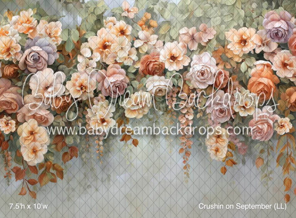 Crushin on September (LL)