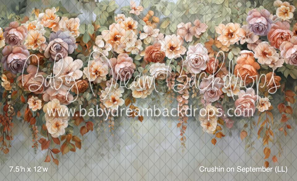 Crushin on September (LL)