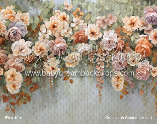 Crushin on September (LL)