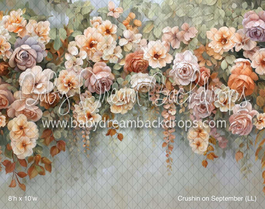 Crushin on September (LL)