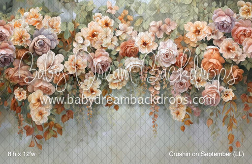 Crushin on September (LL)