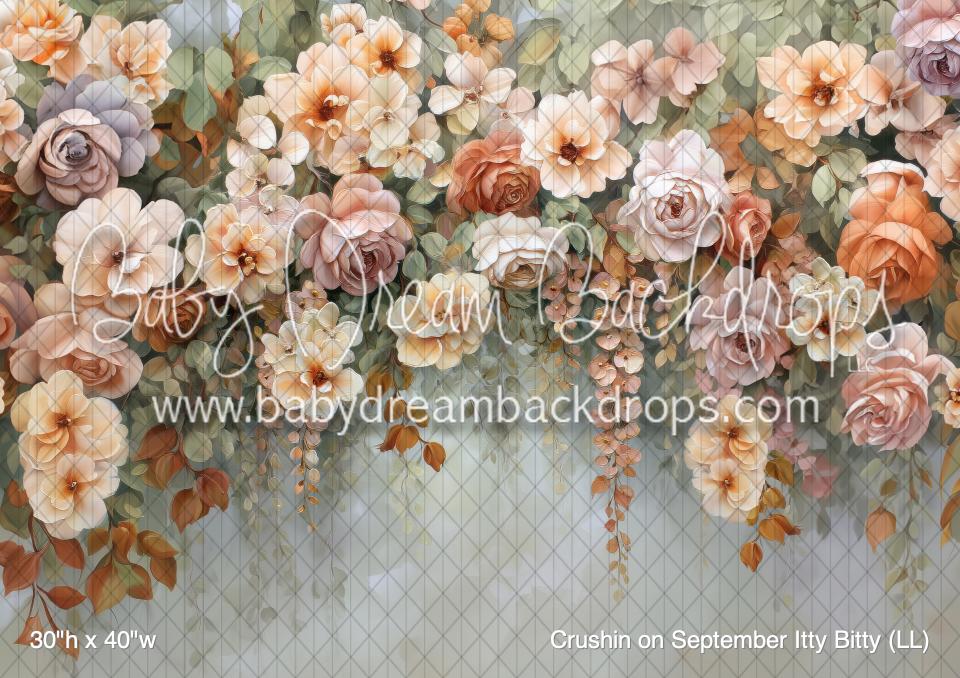 Crushin on September Itty Bitty (LL) — Baby Dream Backdrops