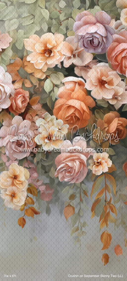 Crushin on September Skinny Two (LL)