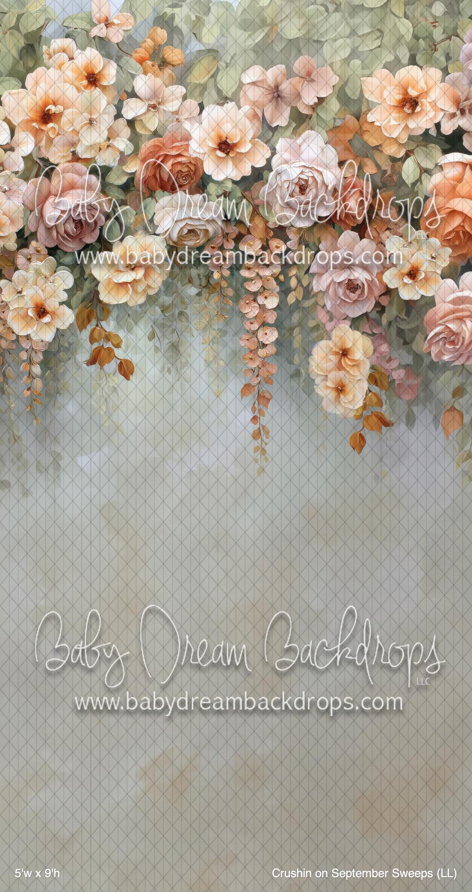 Crushin on September Sweeps (LL) — Baby Dream Backdrops