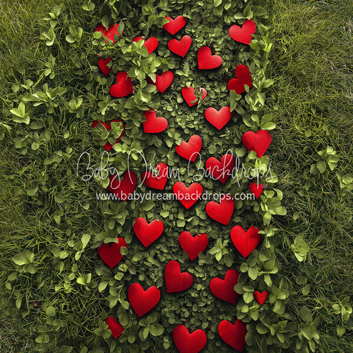 Cupid's Path (CC)