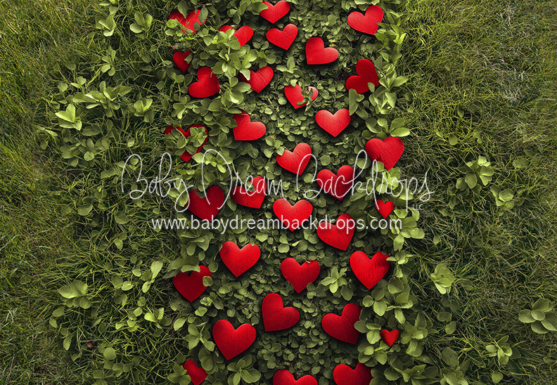 Cupid's Path Floor (CC)