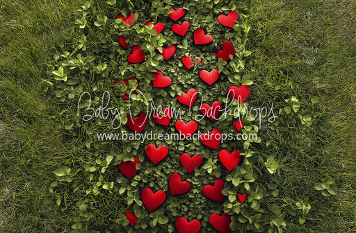 Cupid's Path Floor (CC)