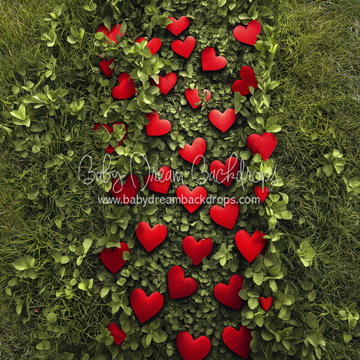 Cupid's Path Floor (CC)
