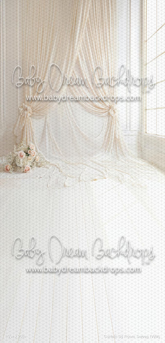 Curtain 3d Room Sweep (WM)