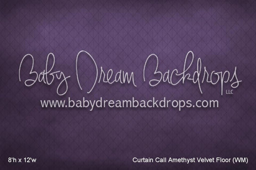Curtain Call Amethyst Velvet Floor (WM)