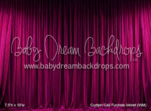 Curtain Call Fuchsia Velvet (WM)