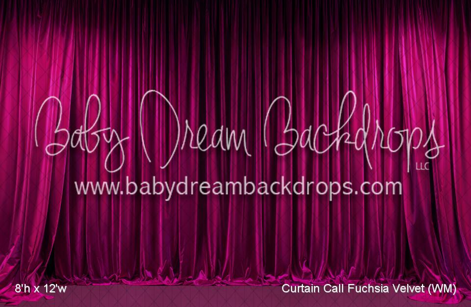 Curtain Call Fuchsia Velvet (WM)
