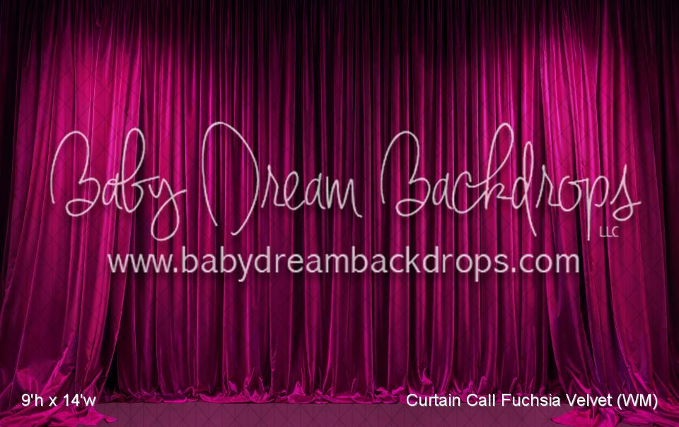 Curtain Call Fuchsia Velvet (WM)