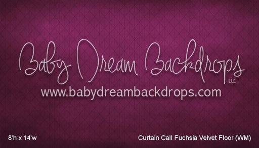 Curtain Call Fuchsia Velvet Floor (WM)