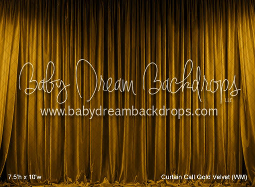 Curtain Call Gold Velvet (WM)