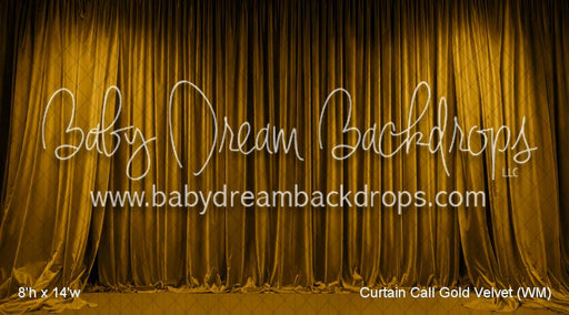 Curtain Call Gold Velvet (WM)