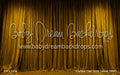 Curtain Call Gold Velvet (WM)