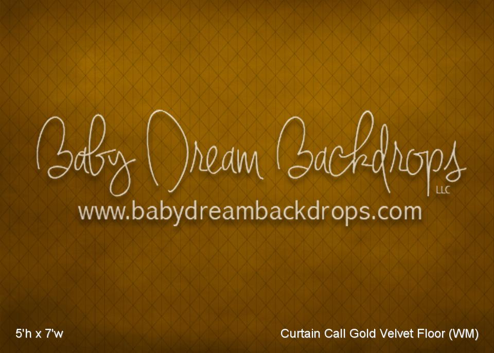 Curtain Call Gold Velvet Floor (WM)